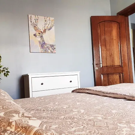 Zig Zag 5- Old Town *